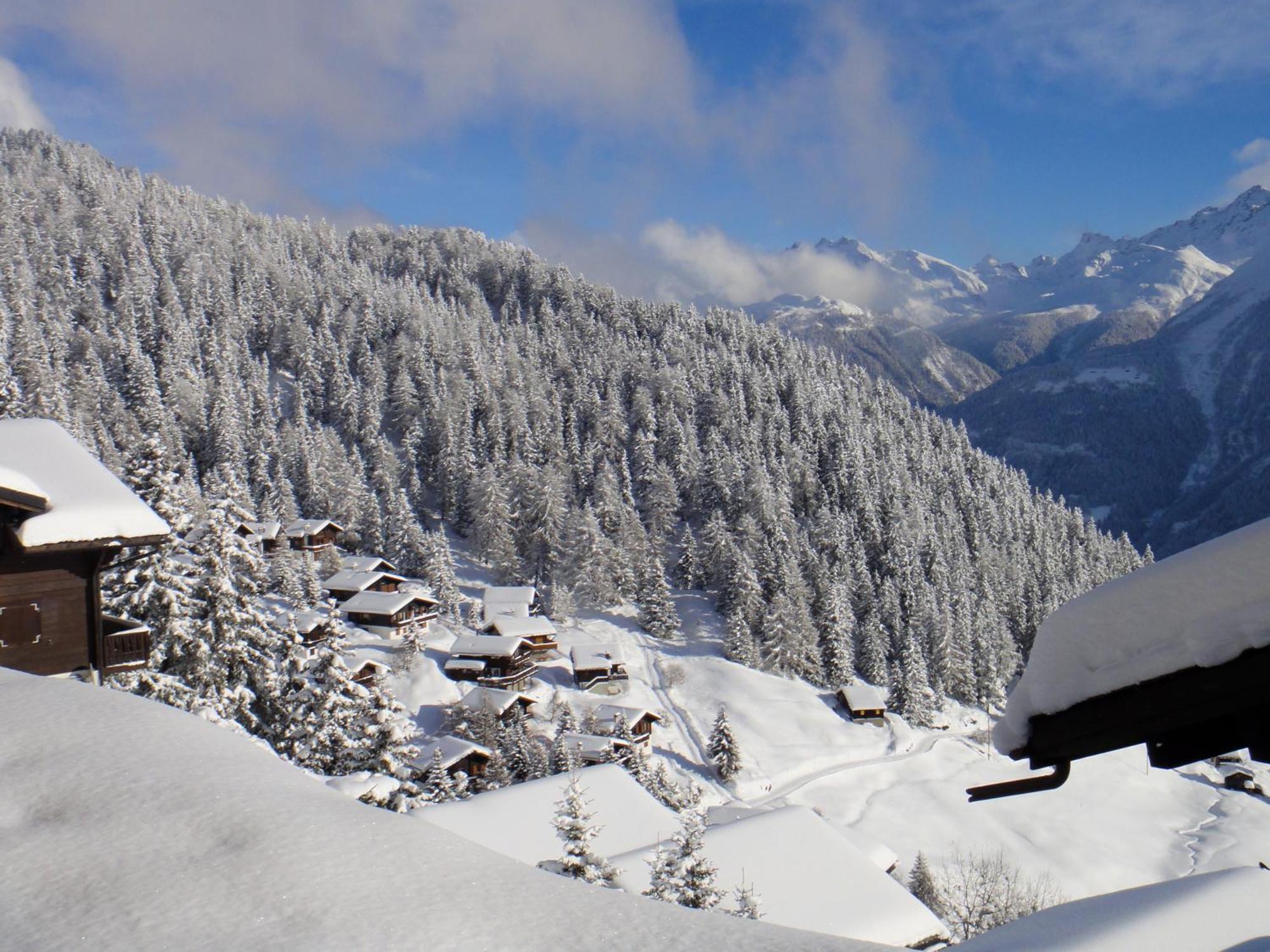 Hotel Slalom Bettmeralp Εξωτερικό φωτογραφία